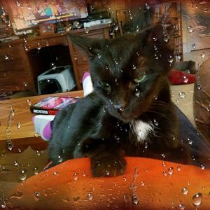 Meet your Posher, Terry